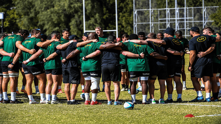 Springboks during training.
